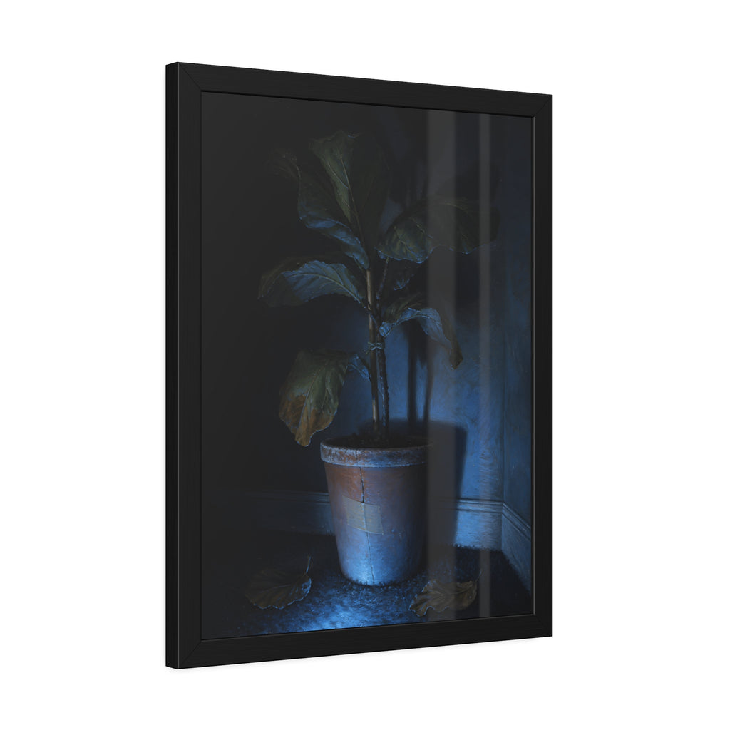 A dying potted plant in a corner washed in blue television light. The Television Hours by Garabaggio, framed fine art print hanging in a room.
