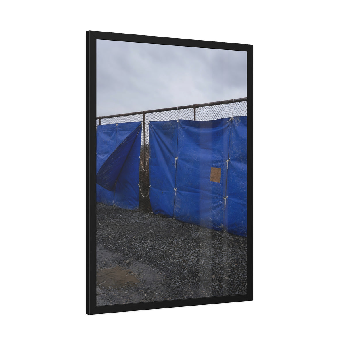 Blue tarps lashed to a chain link fence above gravel under grey sky. Drapery on the Fence by Garabaggio, framed fine art print hanging in a room.