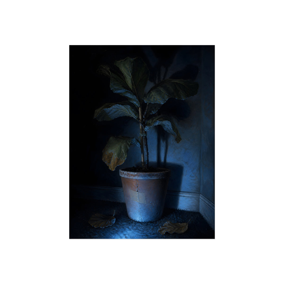 A dying potted plant in a corner washed in blue television light. The Television Hours by Garabaggio, fine art print, 12″ x 16″.