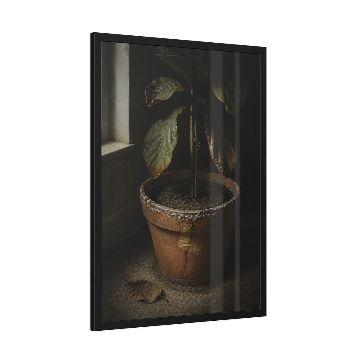 A drooping potted plant in a cracked terracotta pot beside a window. The Missed Watering by Garabaggio, framed fine art print hanging in a room.