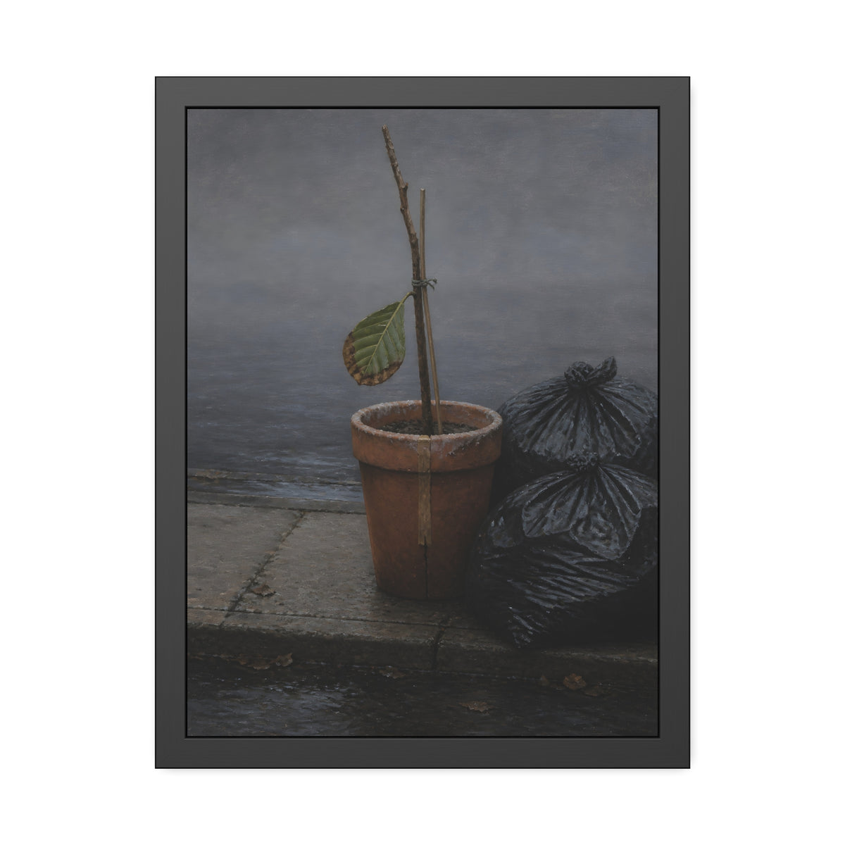 A potted dead twig with one leaf beside black garbage bags on a wet curb. The Curb on Tuesday by Garabaggio, framed fine art print, 18″ x 24″.