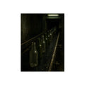 Empty glass bottles in a line on a conveyor under one fluorescent tube. The Procession of Bottles by Garabaggio, fine art print, 12″ x 16″.