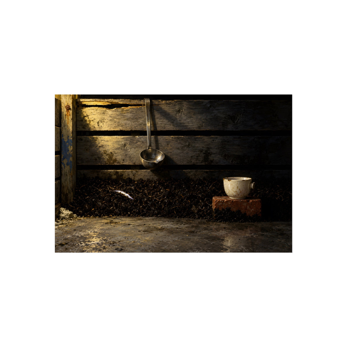 "The Oyster's Edge": A Garabaggio Fine Art Print