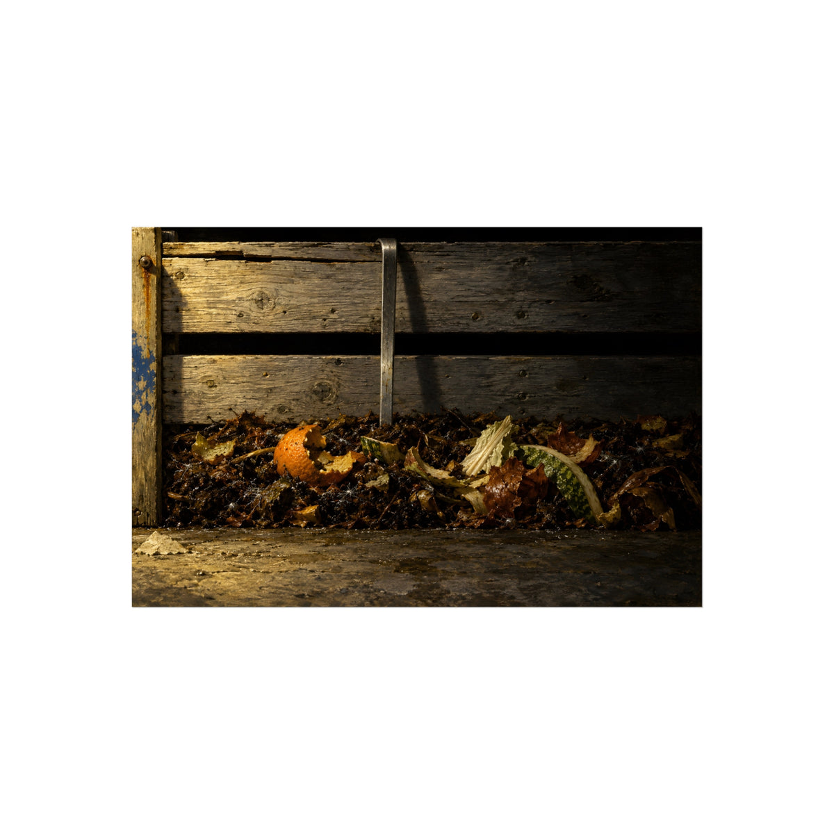 "The Handle Down the Boards": A Garabaggio Fine Art Print