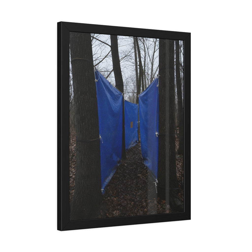 Blue tarps tied between bare trees forming a corridor over dead leaves. Passage Between Trees by Garabaggio, framed fine art print hanging in a room.