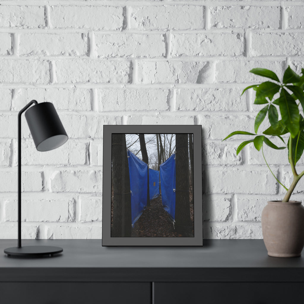 Blue tarps tied between bare trees forming a corridor over dead leaves. Passage Between Trees by Garabaggio, framed fine art print hanging in a room.