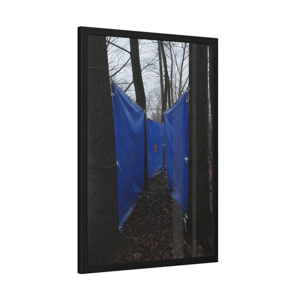 Blue tarps tied between bare trees forming a corridor over dead leaves. Passage Between Trees by Garabaggio, framed fine art print hanging in a room.