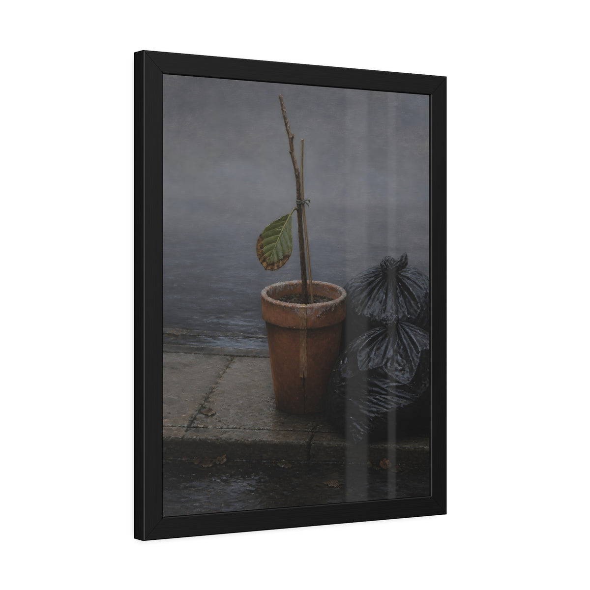 A potted dead twig with one leaf beside black garbage bags on a wet curb. The Curb on Tuesday by Garabaggio, framed fine art print hanging in a room.