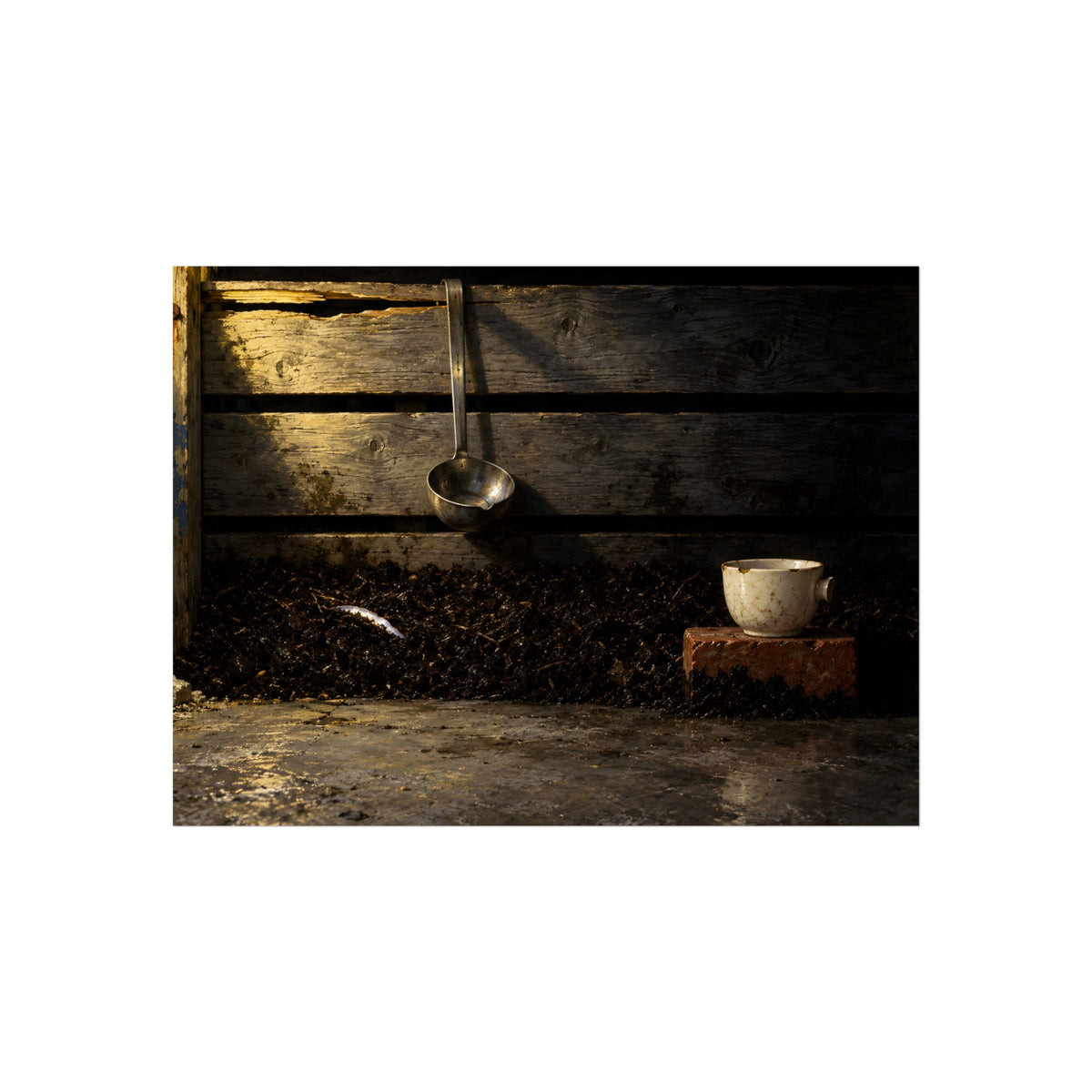 "The Oyster's Edge": A Garabaggio Fine Art Print