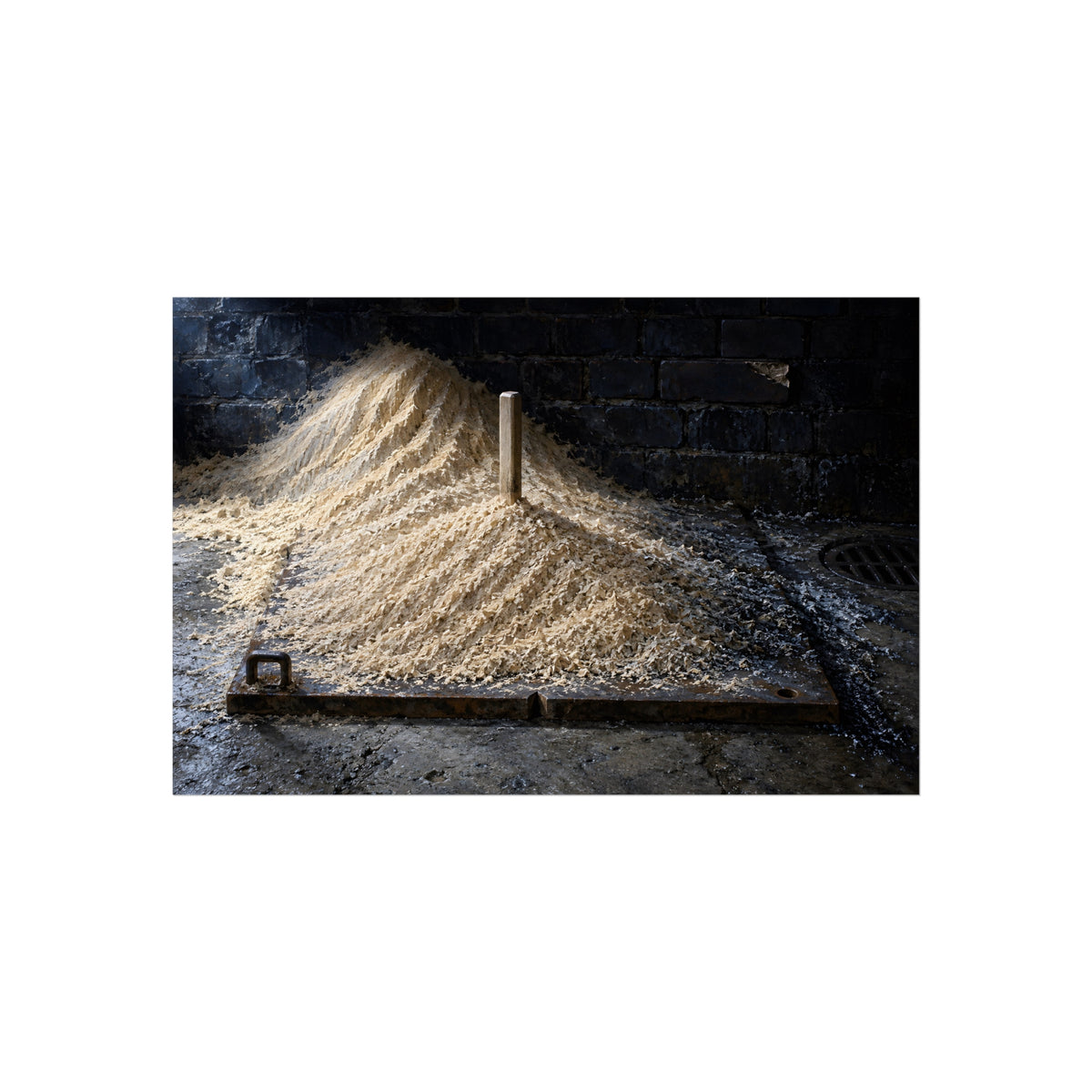 "The Combed Crest": A Garabaggio Fine Art Print