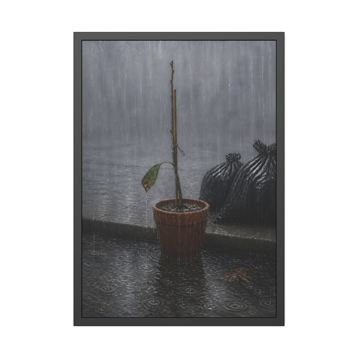 A bare stick in a clay pot on a curb in heavy rain beside trash bags. The Second Rain by Garabaggio, framed fine art print, 28″ x 40″.
