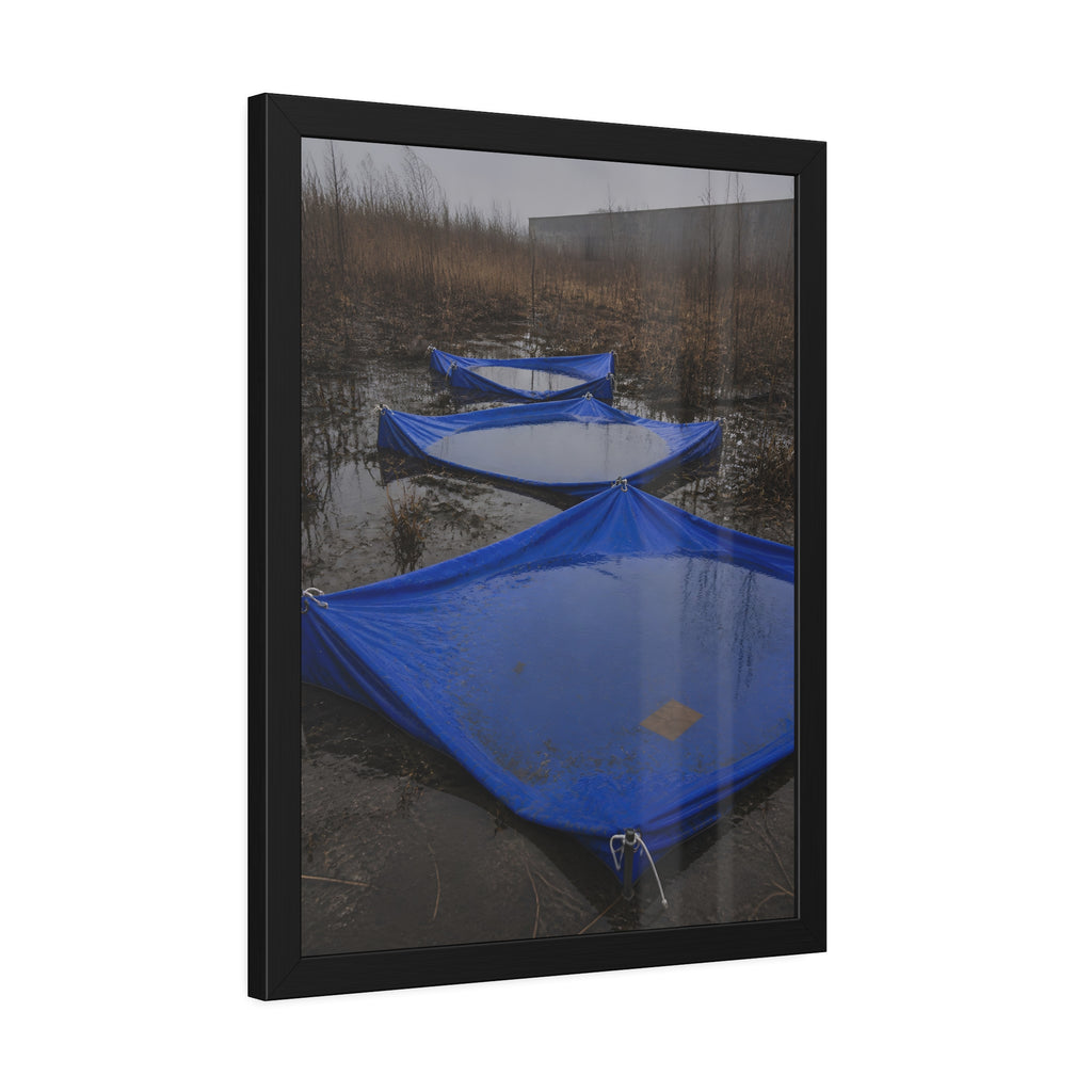 Three blue tarps holding pooled rainwater in a weedy vacant lot. Flooded in the Vacant Lot by Garabaggio, framed fine art print hanging in a room.