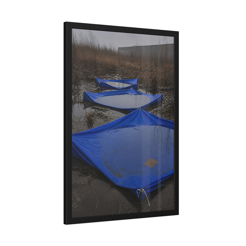 Three blue tarps holding pooled rainwater in a weedy vacant lot. Flooded in the Vacant Lot by Garabaggio, framed fine art print hanging in a room.