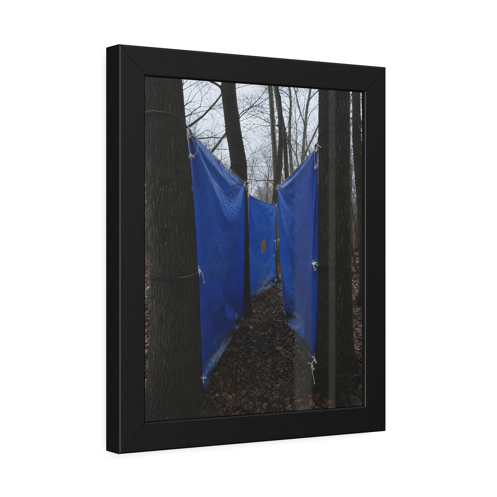 Blue tarps tied between bare trees forming a corridor over dead leaves. Passage Between Trees by Garabaggio, framed fine art print hanging in a room.