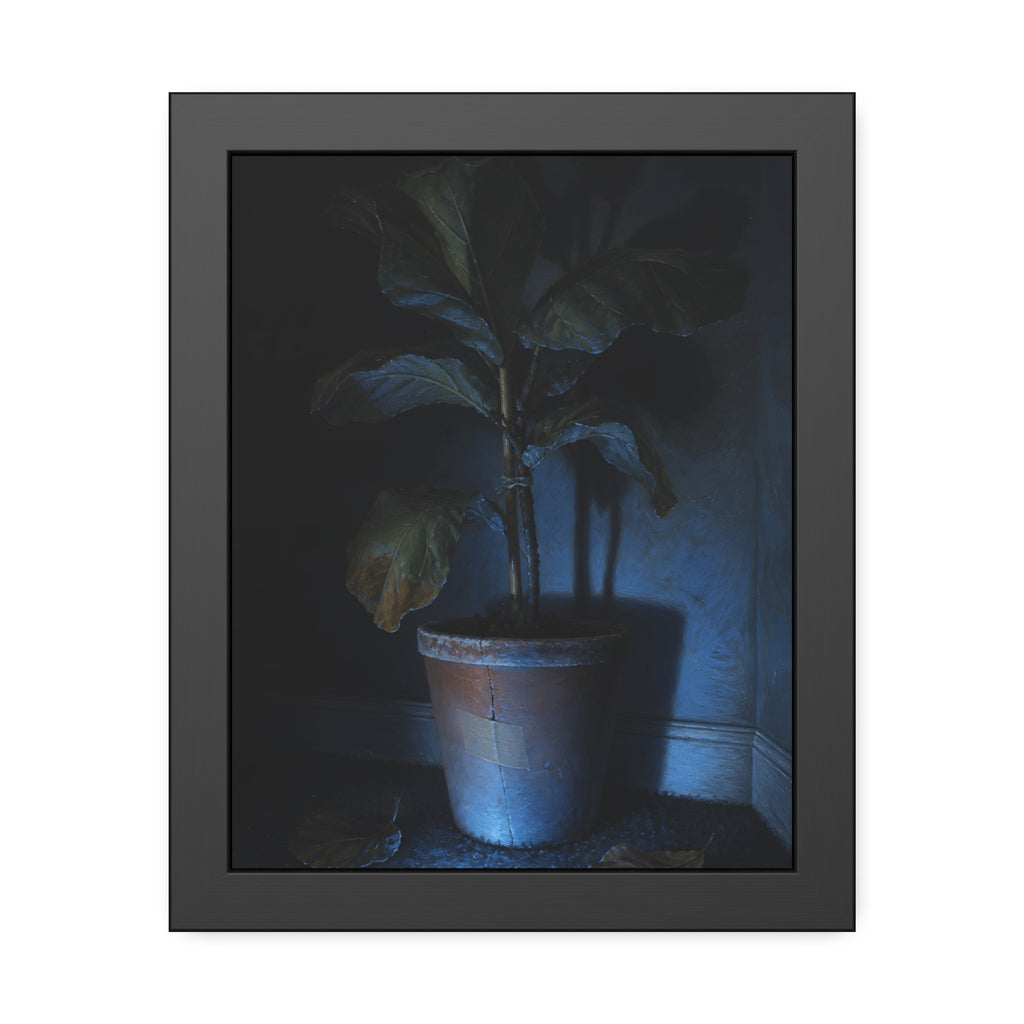 A dying potted plant in a corner washed in blue television light. The Television Hours by Garabaggio, framed fine art print, 11″ x 14″.
