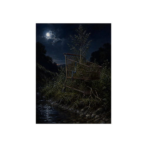 A shopping cart in creekside weeds with a sapling growing up through it. The Cart Grown Through by Garabaggio, fine art print, 18″ x 24″.