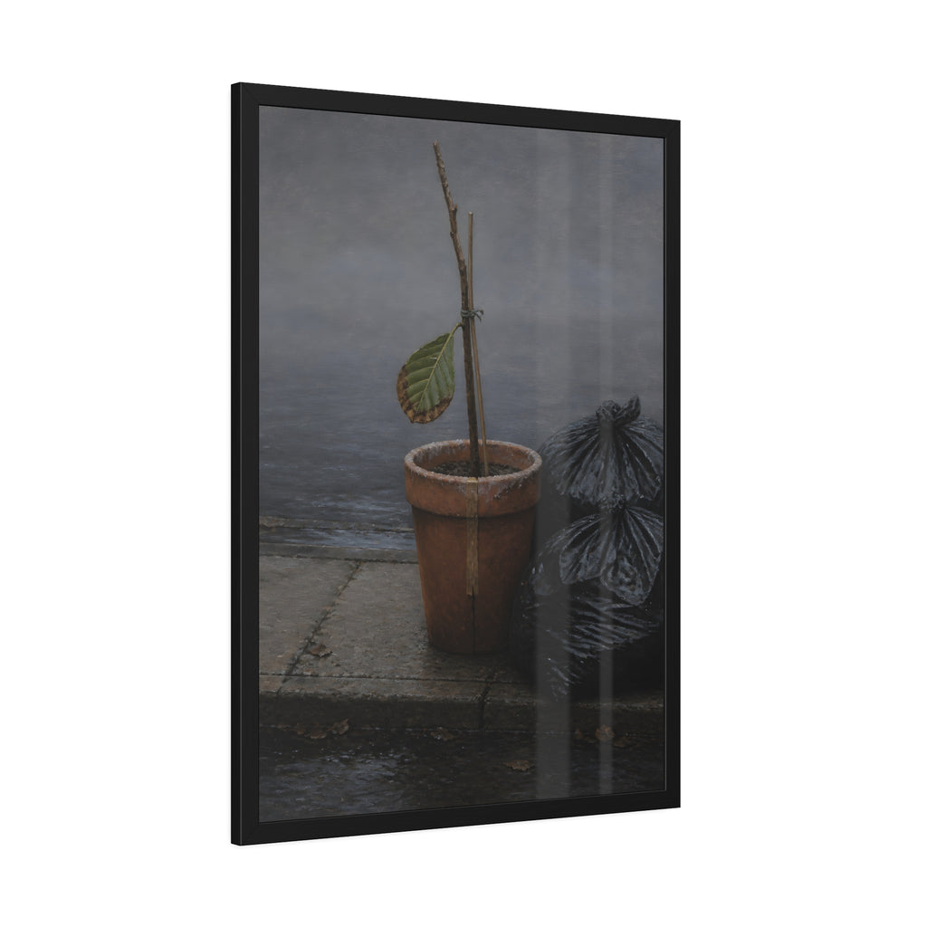 A potted dead twig with one leaf beside black garbage bags on a wet curb. The Curb on Tuesday by Garabaggio, framed fine art print hanging in a room.
