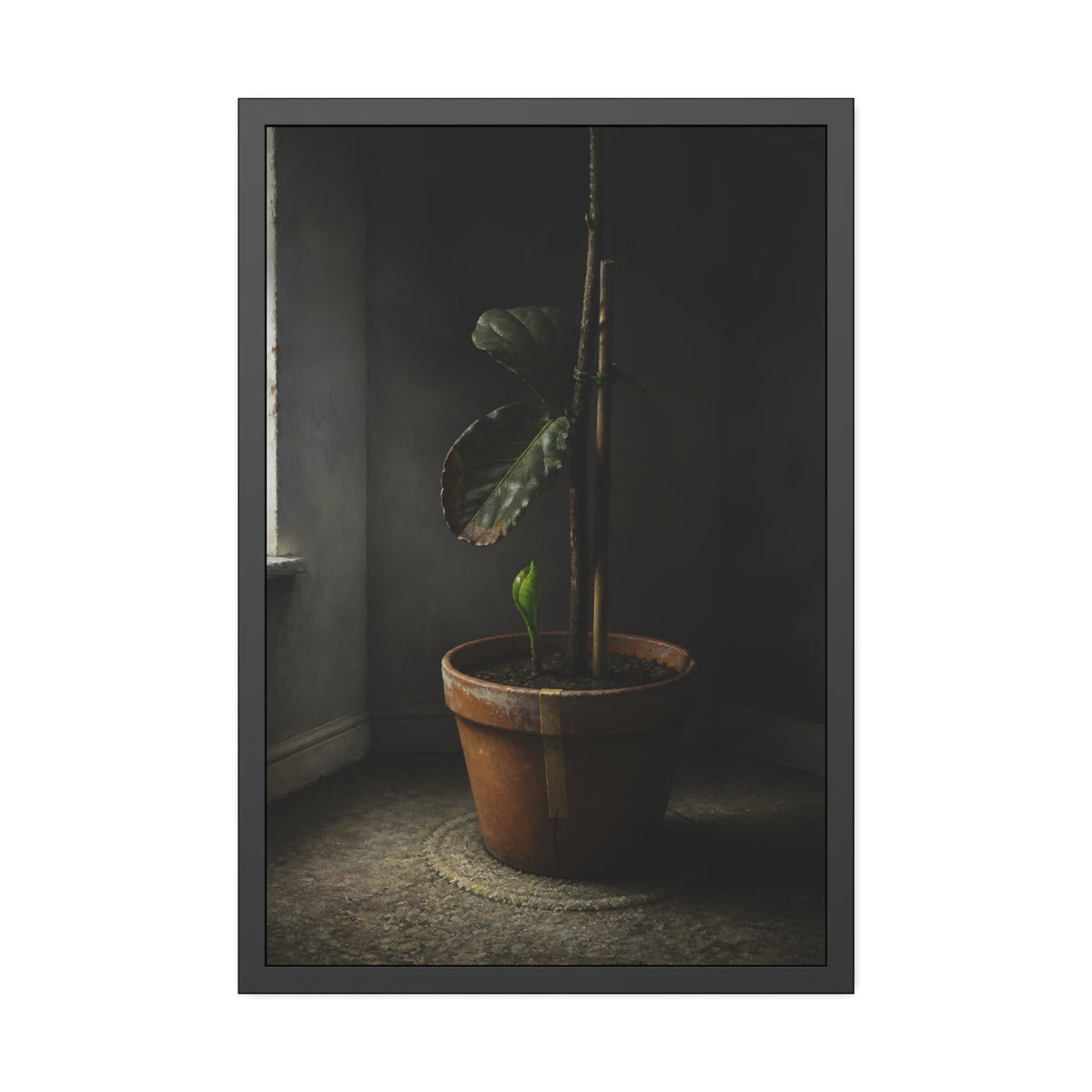 A potted plant down to two curled leaves and one new sprout by a window. The Corner by the Window Again by Garabaggio, framed fine art print, 24″ x 36″.