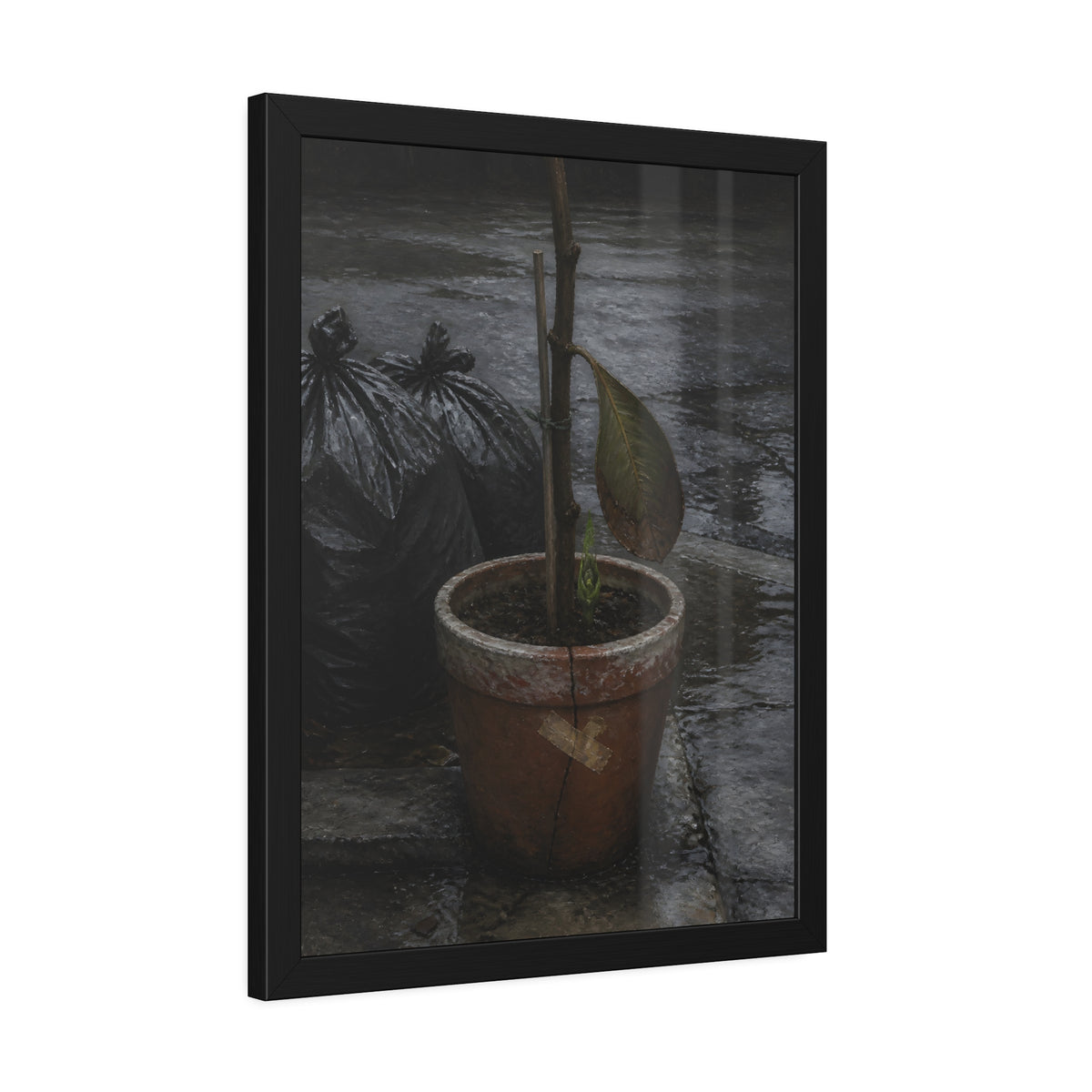 A taped clay pot with one leaf and a green shoot on wet pavement. The Green at the Base by Garabaggio, framed fine art print hanging in a room.