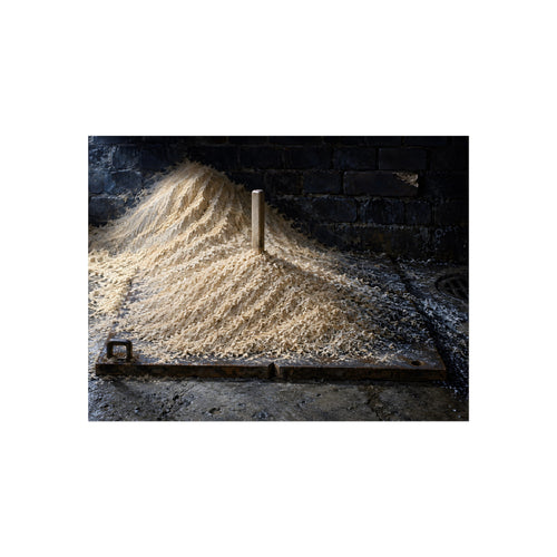"The Combed Crest": A Garabaggio Fine Art Print