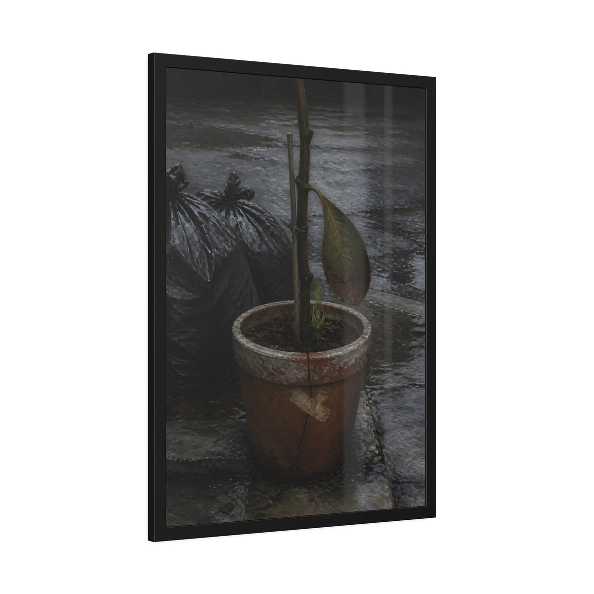 A taped clay pot with one leaf and a green shoot on wet pavement. The Green at the Base by Garabaggio, framed fine art print hanging in a room.