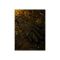 Wet mud and pressed oak leaves with a green scrap barely showing. The Reliquary of Mud and Leaf by Garabaggio, fine art print, 12″ x 16″.