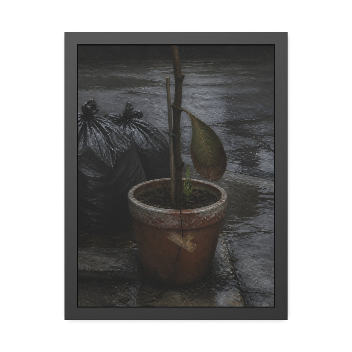 A taped clay pot with one leaf and a green shoot on wet pavement. The Green at the Base by Garabaggio, framed fine art print, 18″ x 24″.