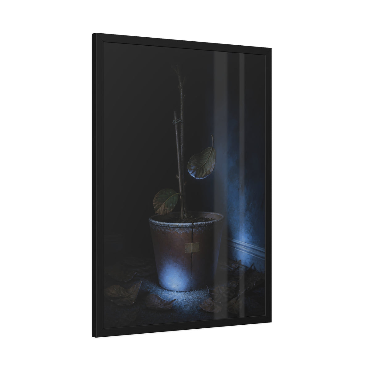 A bare potted plant dropping a leaf, dead leaves on the floor. The Leaf Lets Go by Garabaggio, framed fine art print hanging in a room.