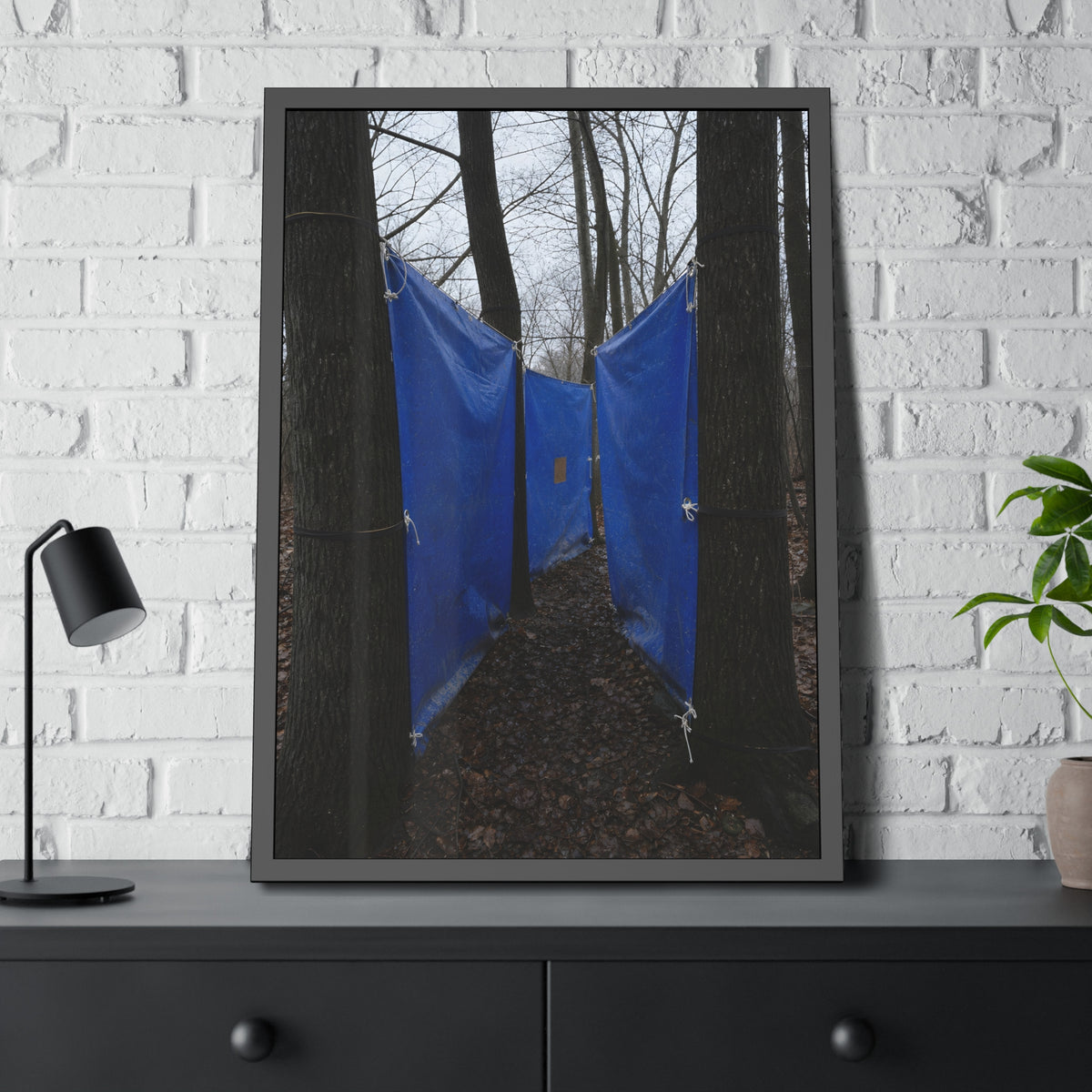 Blue tarps tied between bare trees forming a corridor over dead leaves. Passage Between Trees by Garabaggio, framed fine art print hanging in a room.