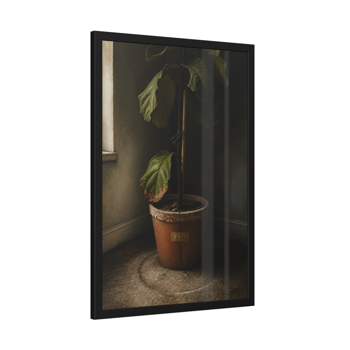 A leafy potted fig staked to a cane in a taped clay pot beside a window. The Corner by the Window by Garabaggio, framed fine art print hanging in a room.