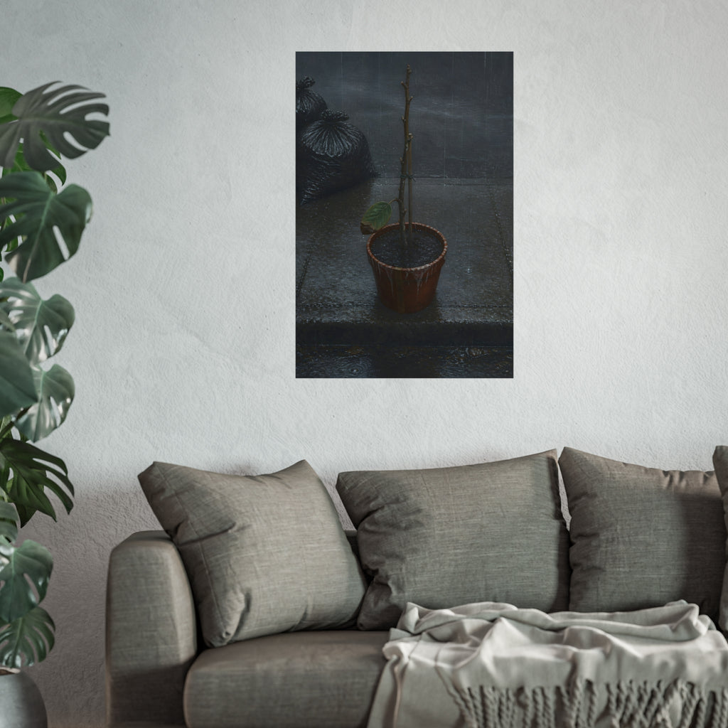 A near bare potted plant left out in the rain beside black garbage bags. The First Rain (Houseplant) by Garabaggio, fine art print hanging in a room.