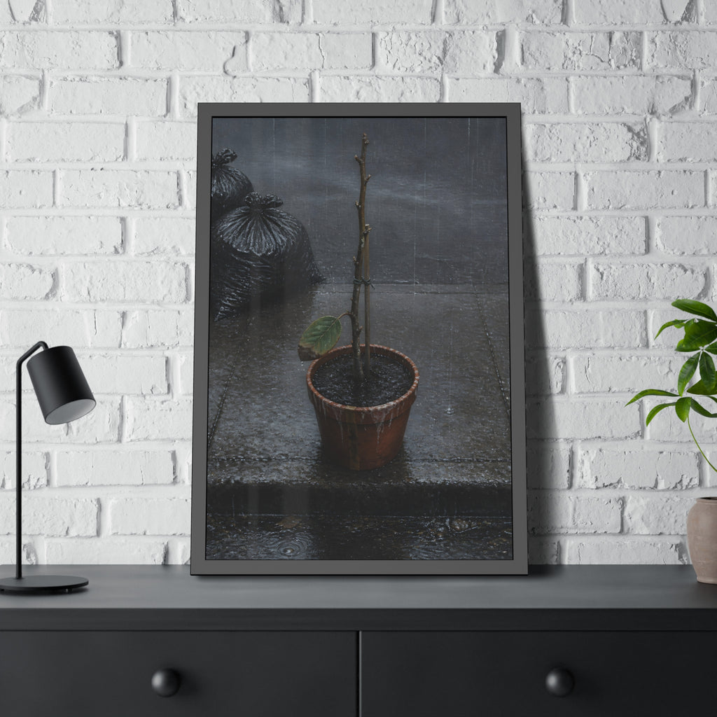 A near bare potted plant left out in the rain beside black garbage bags. The First Rain (Houseplant) by Garabaggio, framed fine art print hanging in a room.