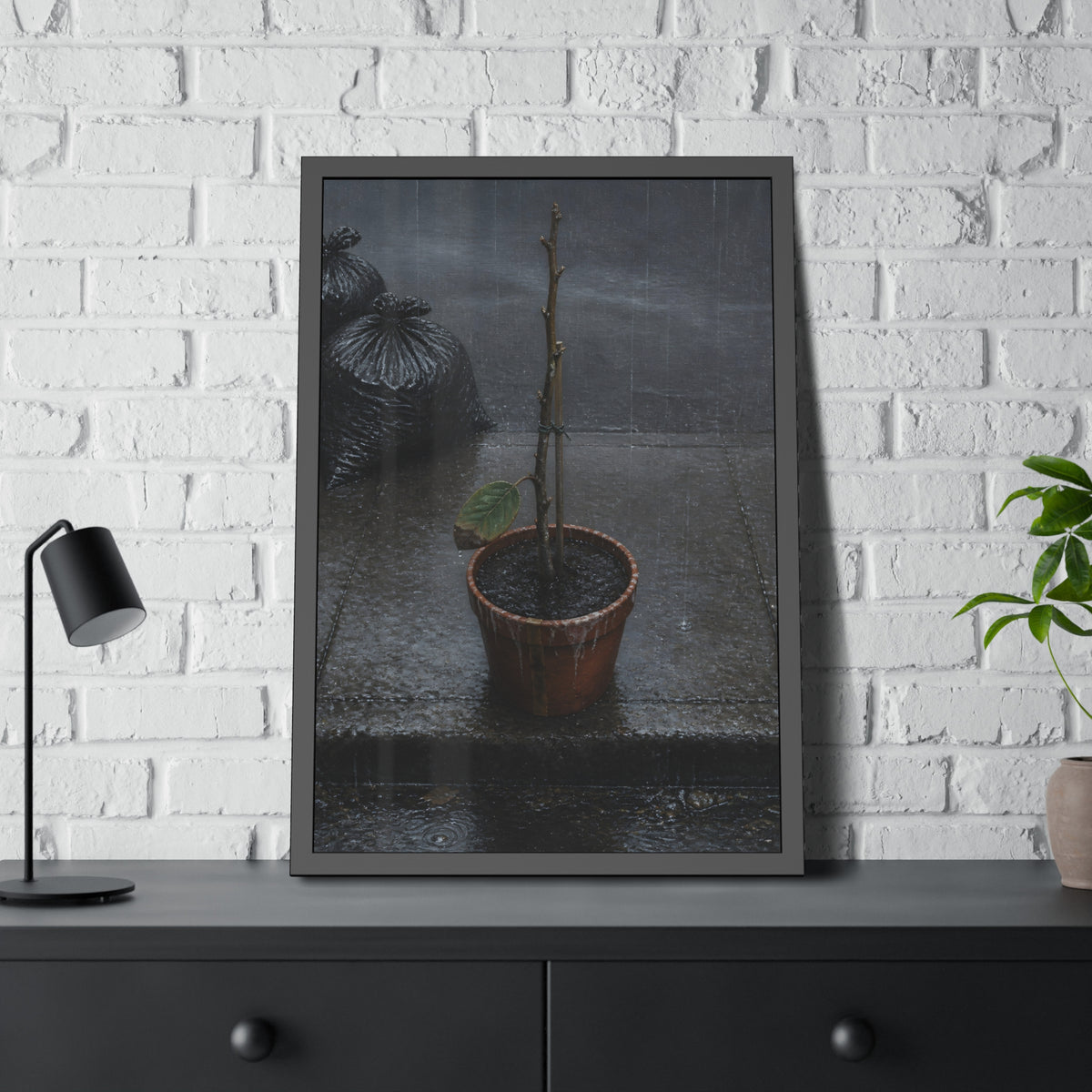 A near bare potted plant left out in the rain beside black garbage bags. The First Rain (Houseplant) by Garabaggio, framed fine art print hanging in a room.