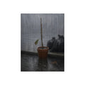 A bare stick in a clay pot on a curb in heavy rain beside trash bags. The Second Rain by Garabaggio, fine art print, 12″ x 16″.