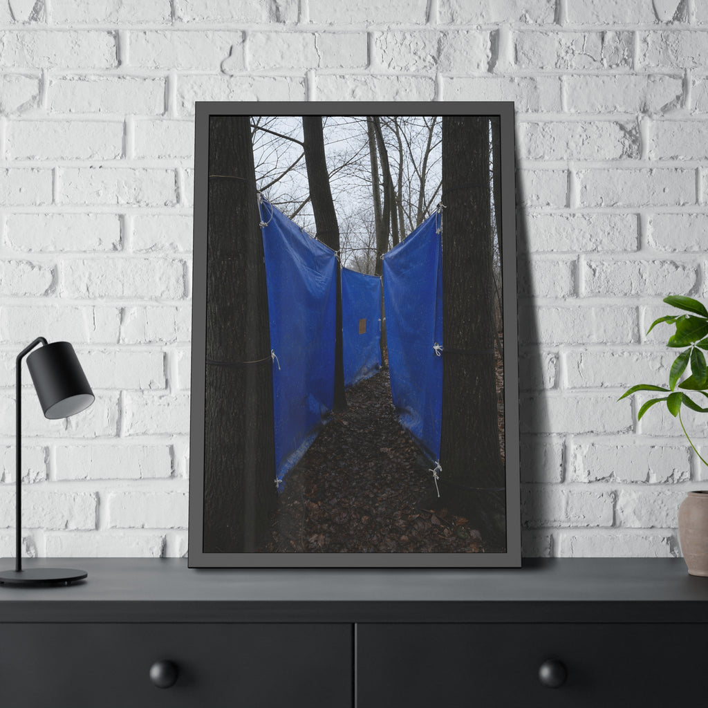 Blue tarps tied between bare trees forming a corridor over dead leaves. Passage Between Trees by Garabaggio, framed fine art print hanging in a room.