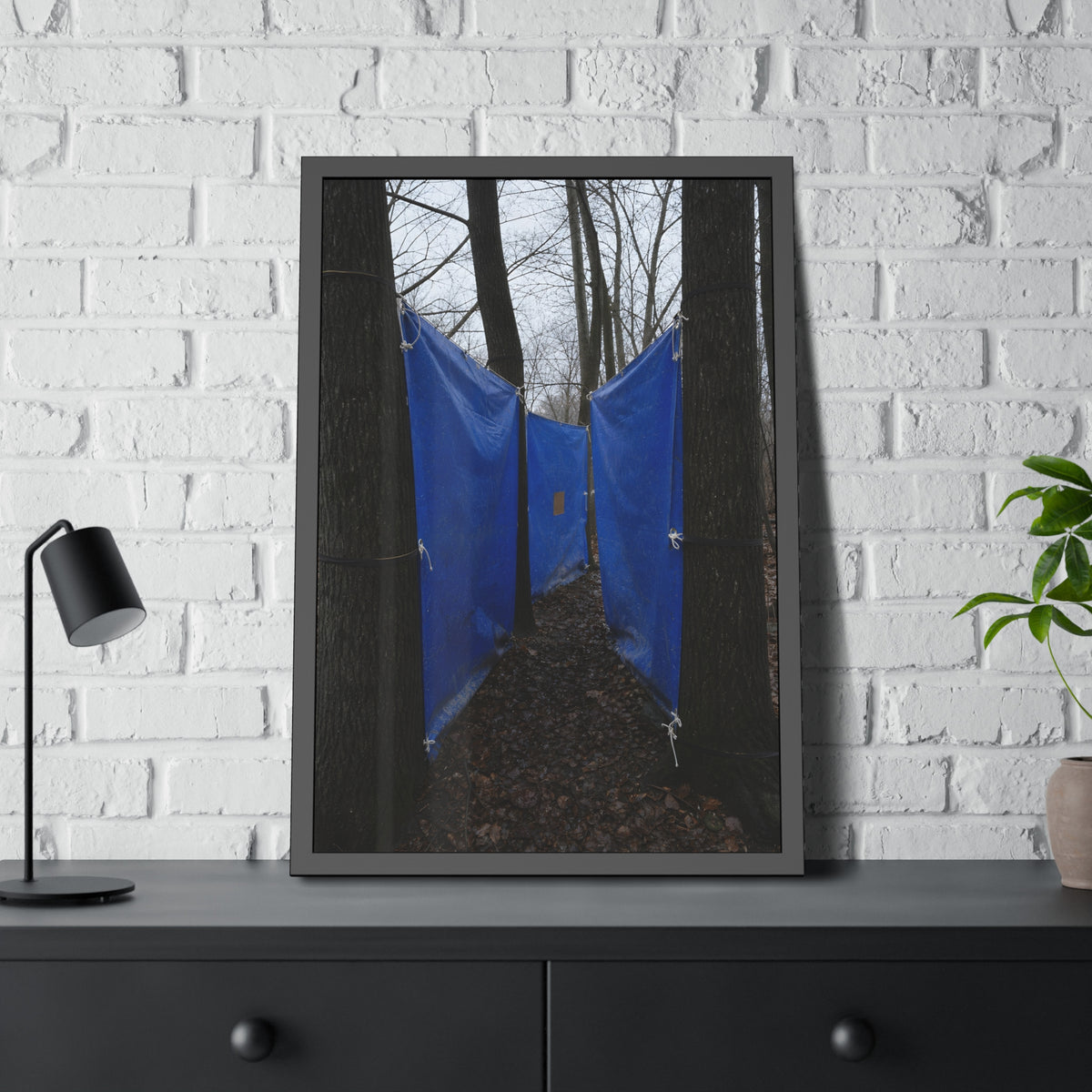 Blue tarps tied between bare trees forming a corridor over dead leaves. Passage Between Trees by Garabaggio, framed fine art print hanging in a room.