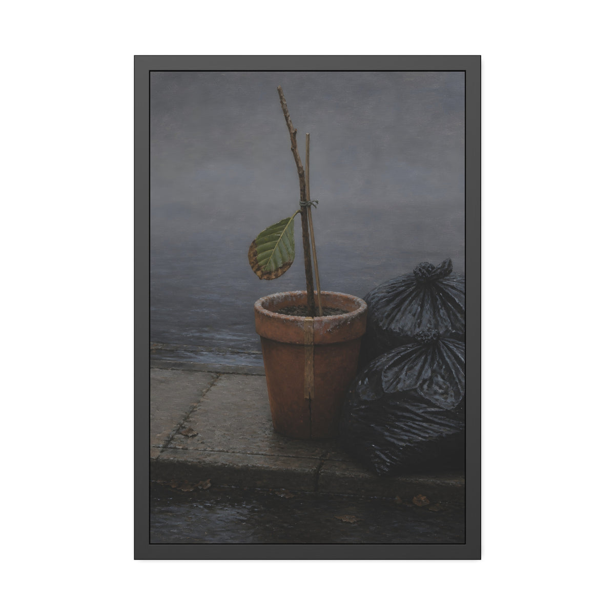 A potted dead twig with one leaf beside black garbage bags on a wet curb. The Curb on Tuesday by Garabaggio, framed fine art print, 24″ x 36″.