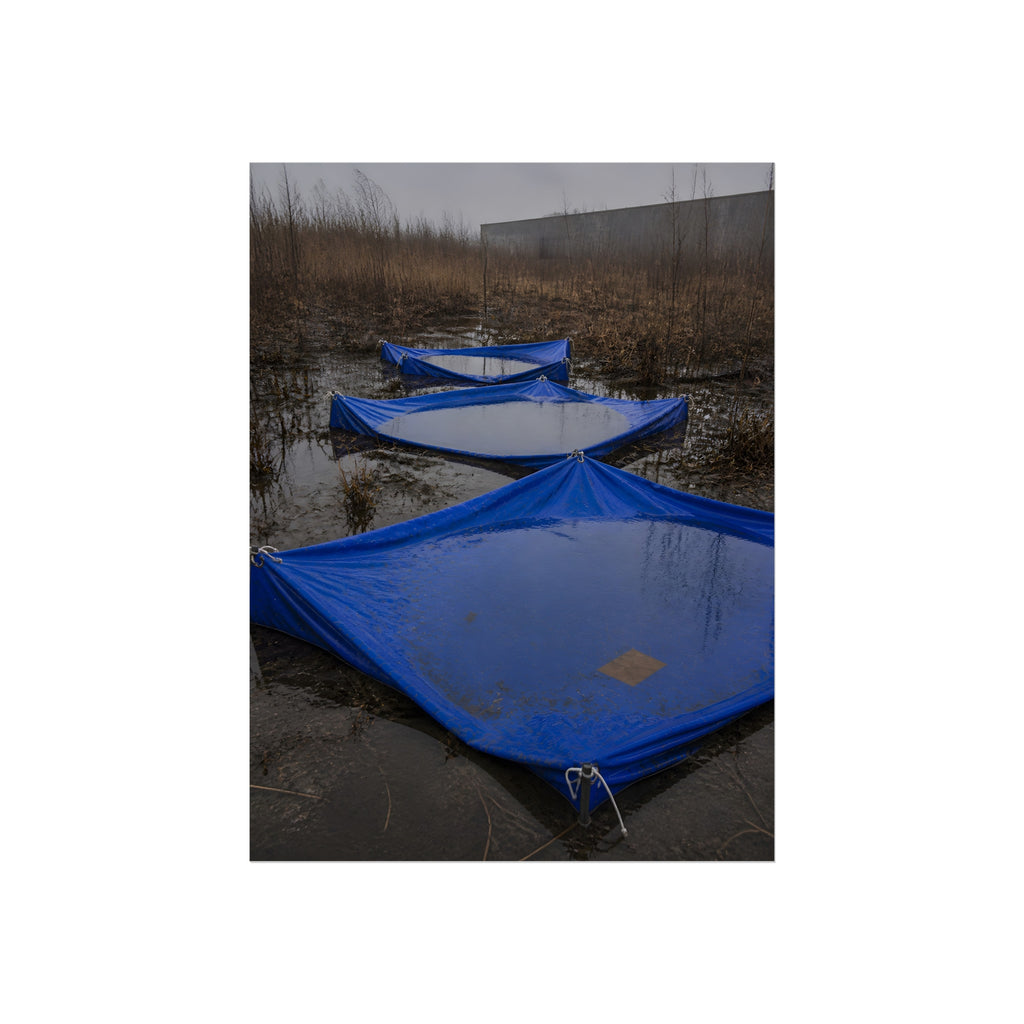 Three blue tarps holding pooled rainwater in a weedy vacant lot. Flooded in the Vacant Lot by Garabaggio, fine art print, 12″ x 16″.