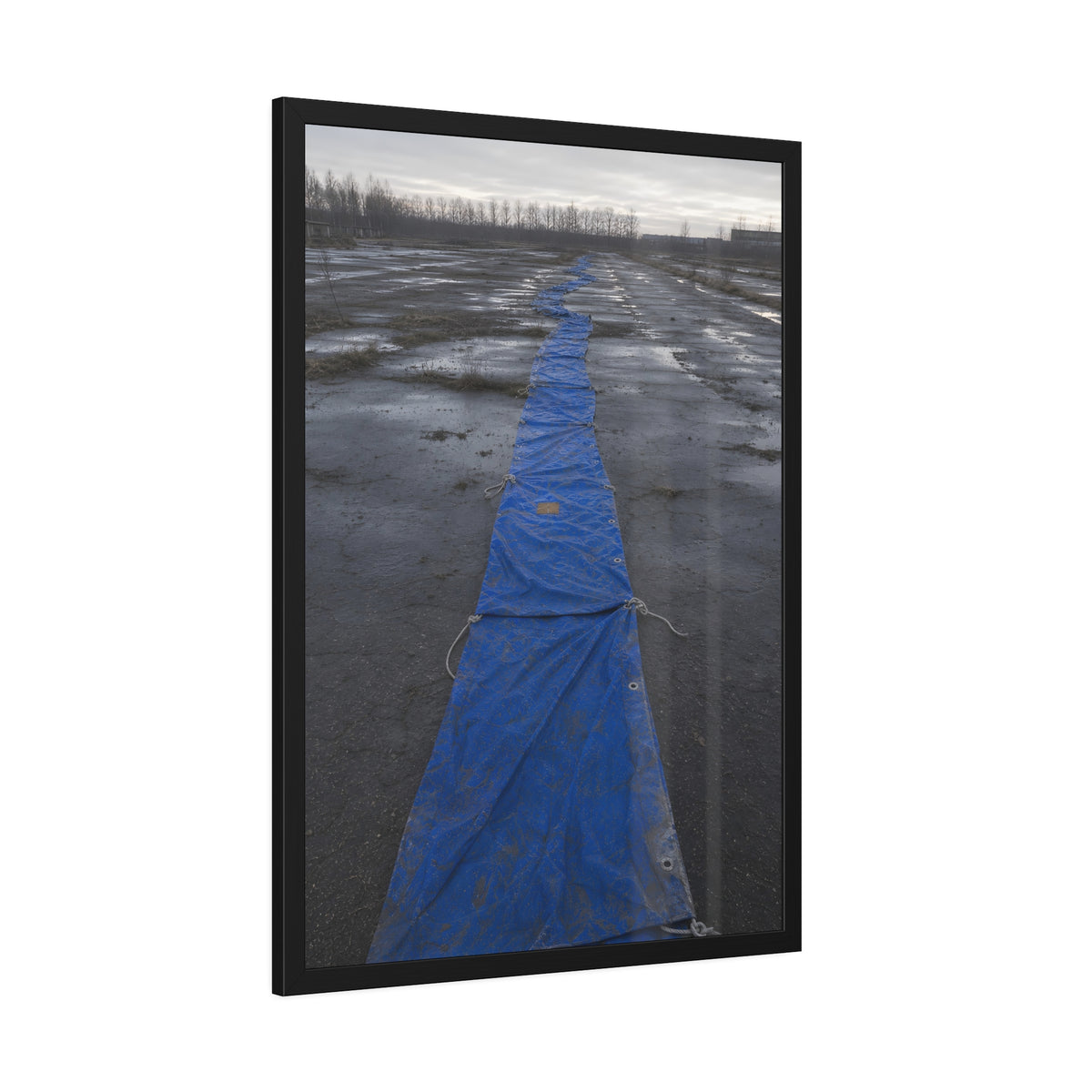 A blue tarp laid in a long strip down a wet cracked lot under grey sky. The Long Ground Procession by Garabaggio, framed fine art print hanging in a room.