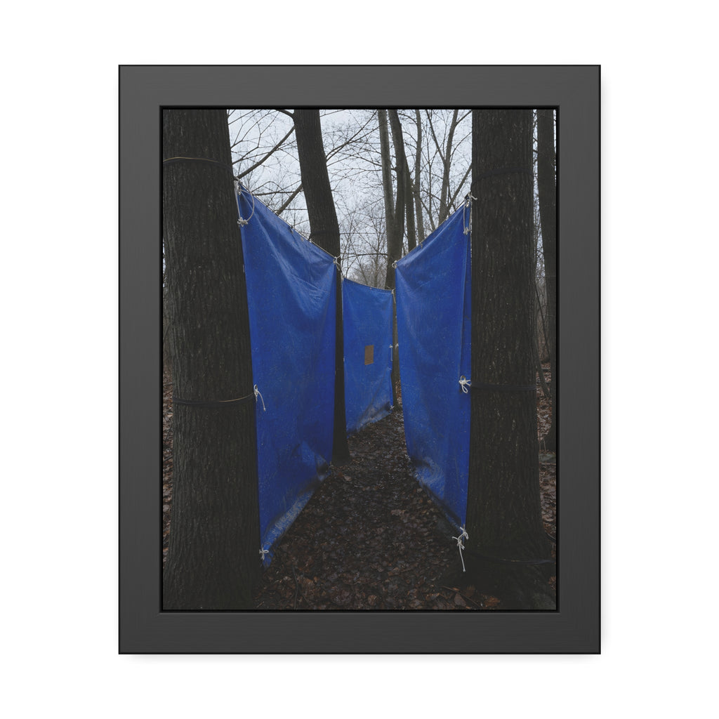 Blue tarps tied between bare trees forming a corridor over dead leaves. Passage Between Trees by Garabaggio, framed fine art print, 11″ x 14″.