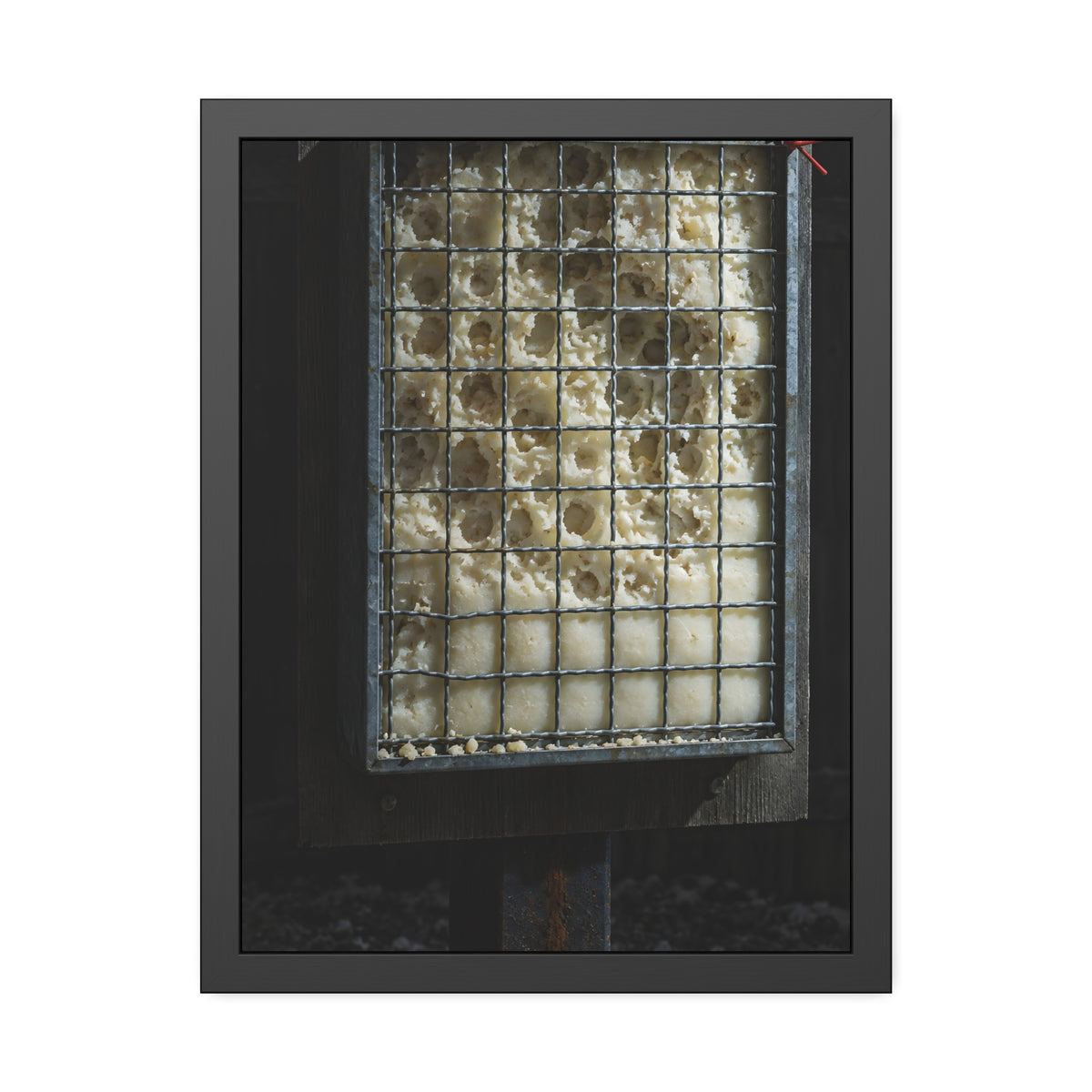 "The First Pitting": A Garabaggio Framed Print