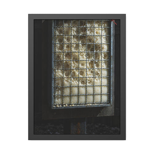 "The First Pitting": A Garabaggio Framed Print