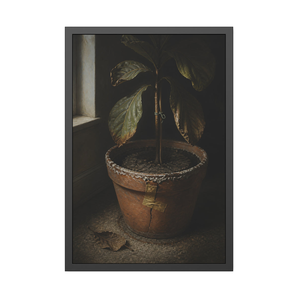 A drooping potted plant in a cracked terracotta pot beside a window. The Missed Watering by Garabaggio, framed fine art print, 24″ x 36″.