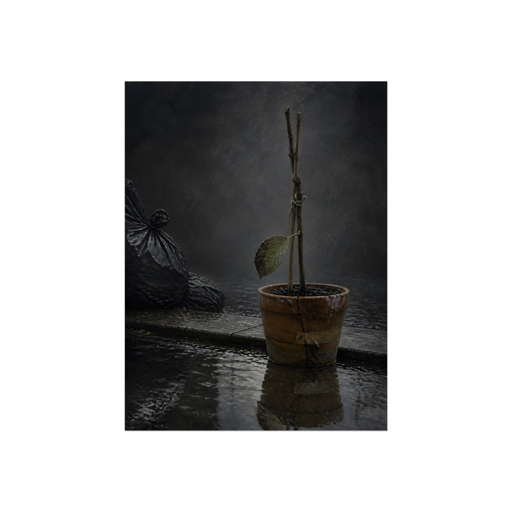 Bare tied stems in a clay pot on flooded pavement, one leaf remaining. The Grey Between by Garabaggio, fine art print, 12″ x 16″.