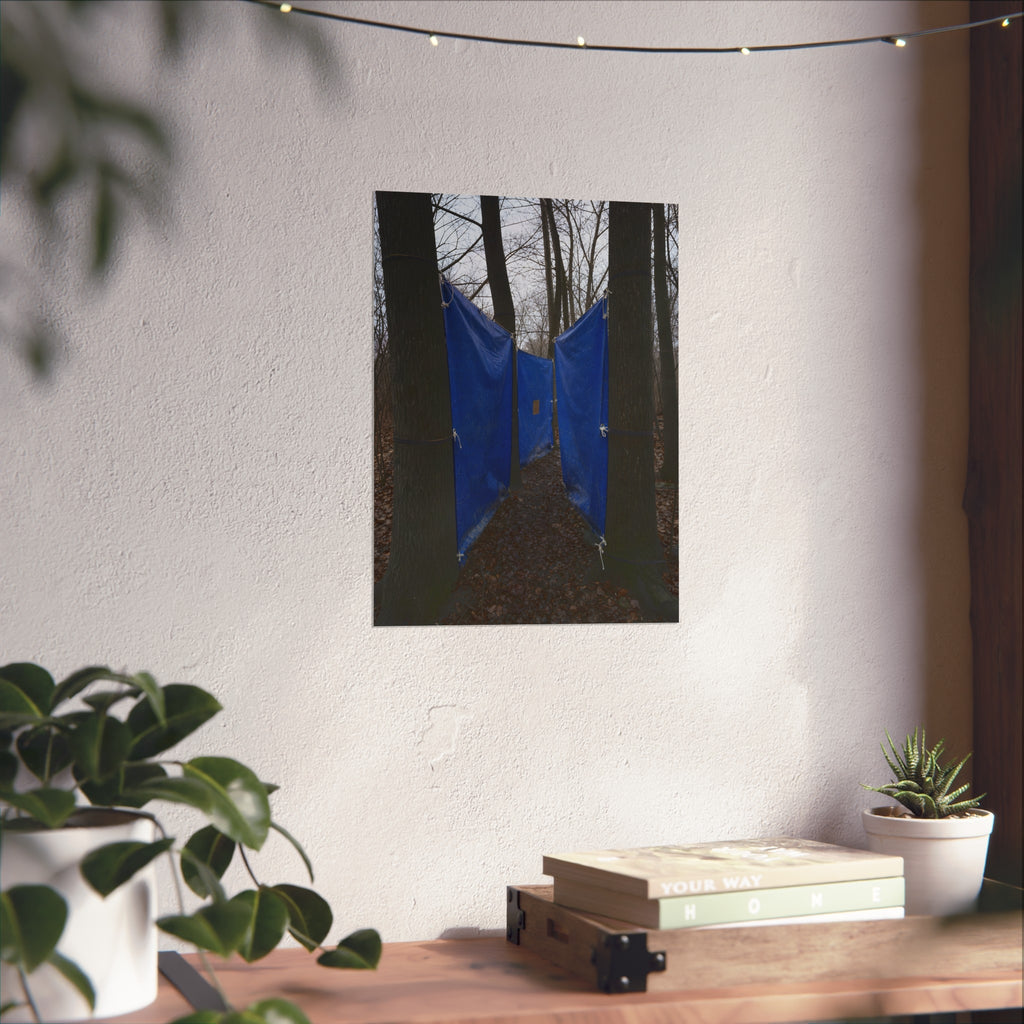 Blue tarps tied between bare trees forming a corridor over dead leaves. Passage Between Trees by Garabaggio, fine art print hanging in a room.