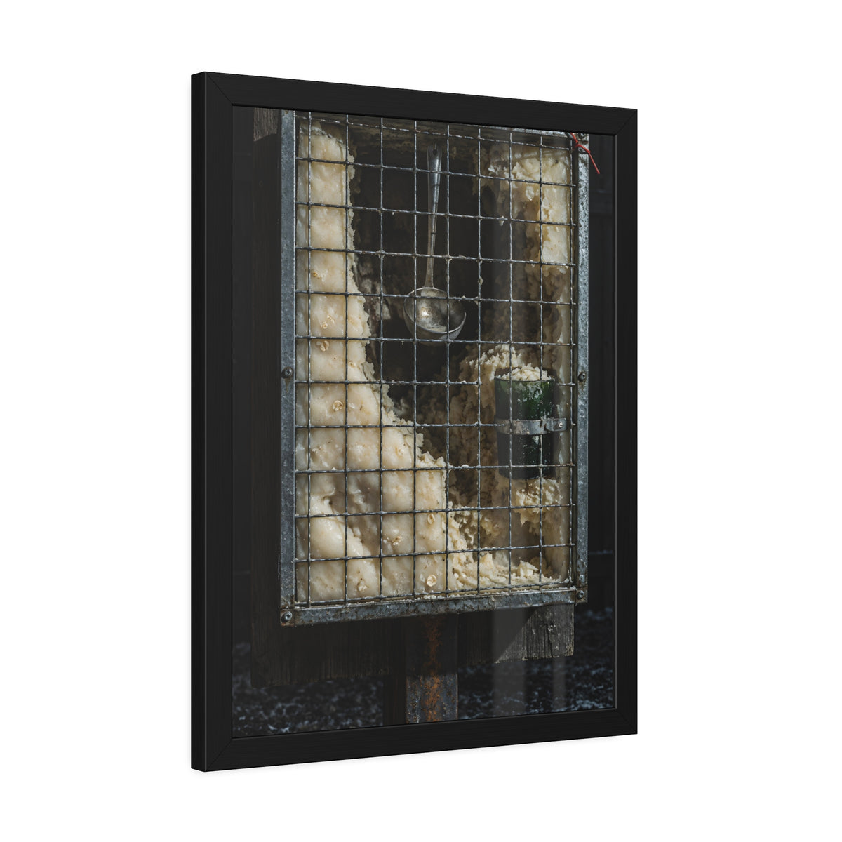 "The Tumbler in Its Ring": A Garabaggio Framed Print