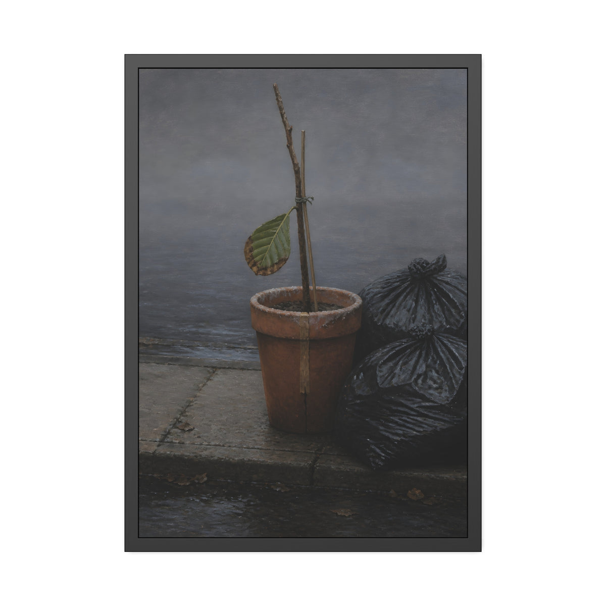A potted dead twig with one leaf beside black garbage bags on a wet curb. The Curb on Tuesday by Garabaggio, framed fine art print, 28″ x 40″.
