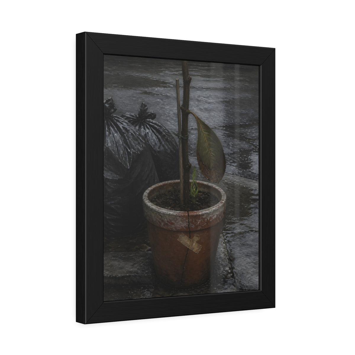 A taped clay pot with one leaf and a green shoot on wet pavement. The Green at the Base by Garabaggio, framed fine art print hanging in a room.