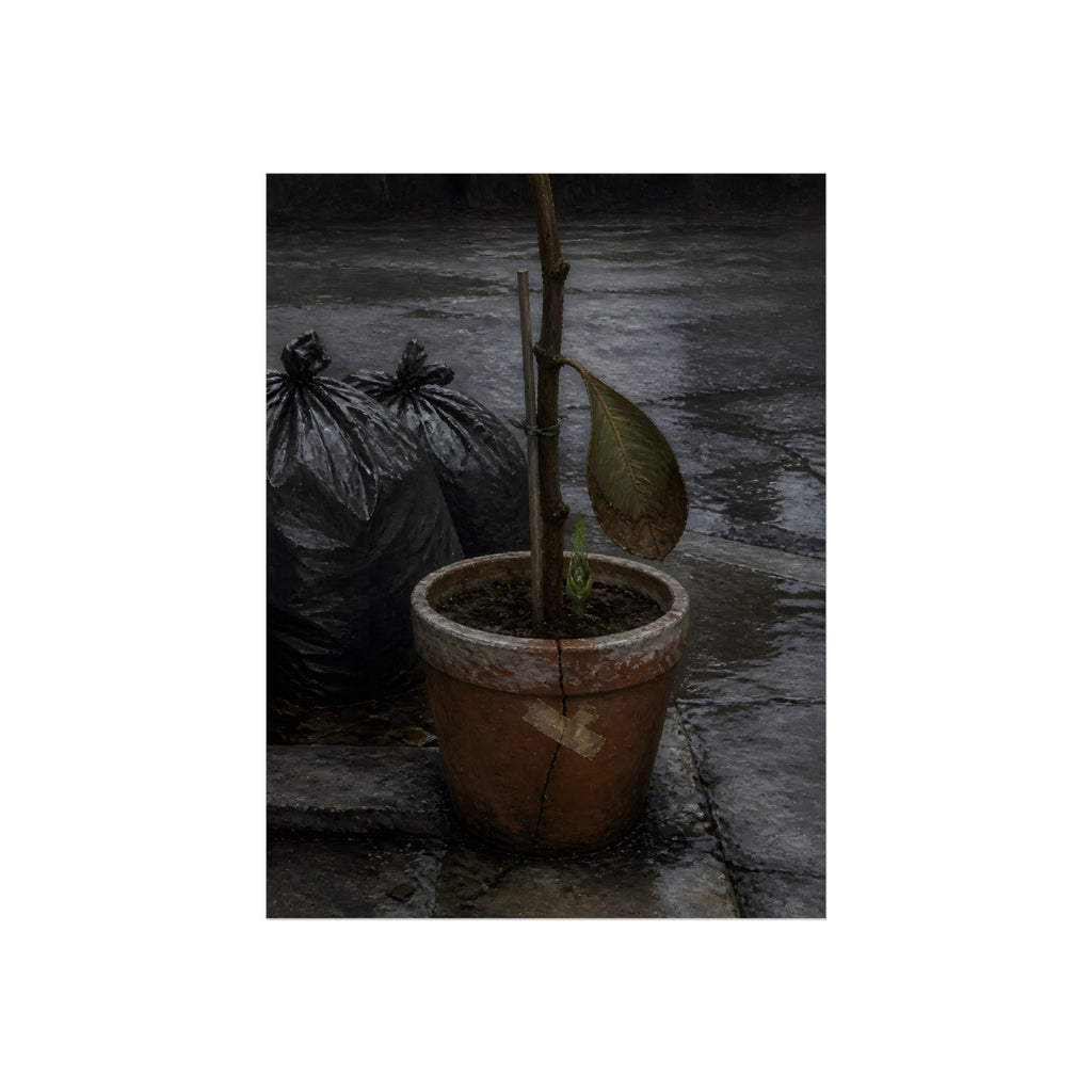 A taped clay pot with one leaf and a green shoot on wet pavement. The Green at the Base by Garabaggio, fine art print, 12″ x 16″.