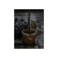A taped clay pot with one leaf and a green shoot on wet pavement. The Green at the Base by Garabaggio, fine art print, 12″ x 16″.